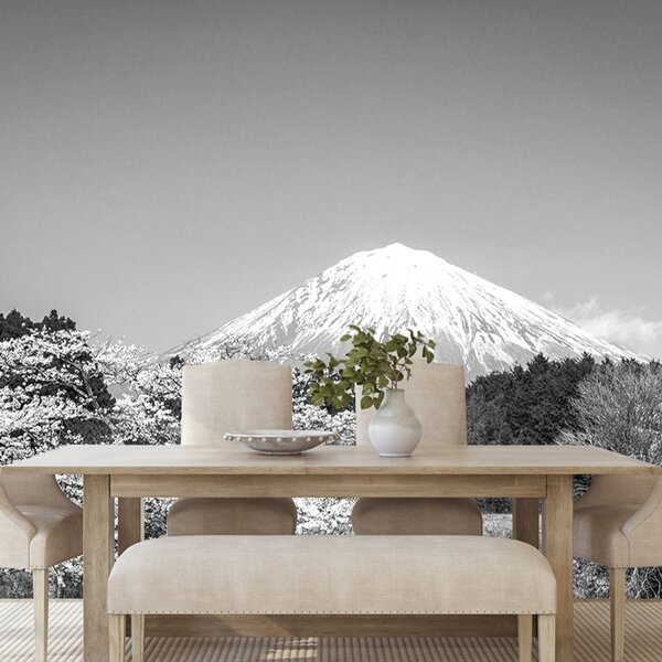 Carta da parati – Monte Fuji in bianco e nero