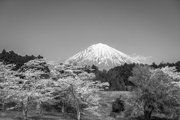 Carta da parati – Monte Fuji in bianco e nero