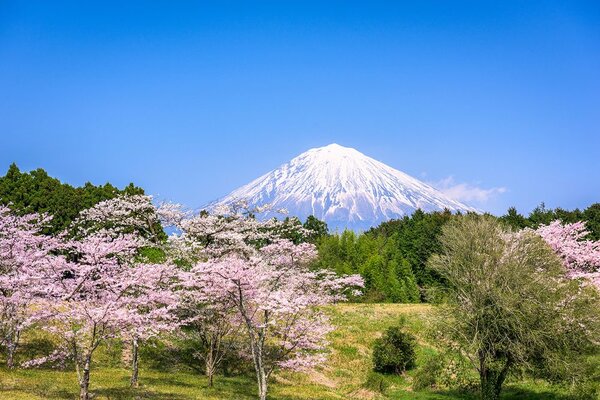 Carta da parati – Vulcano Fuji