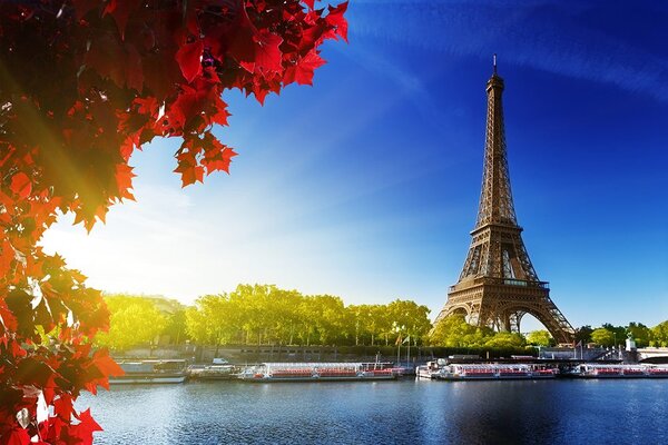 Carta da parati – Parigi autunnale