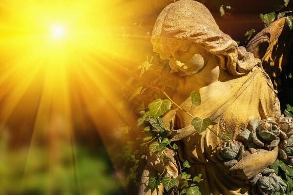 Carta da parati – Angelo con raggi di sole