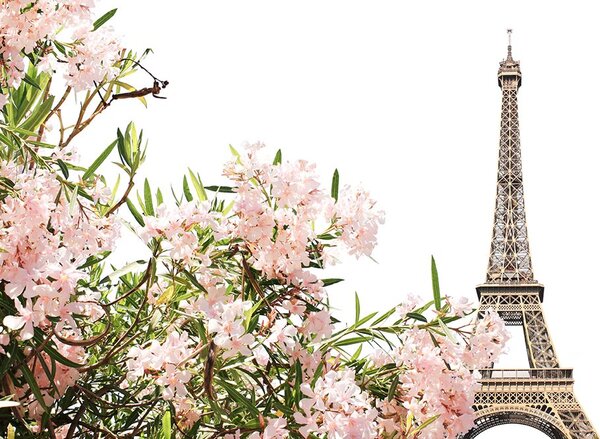 Carta da parati – Torre Eiffel e fiori rosa