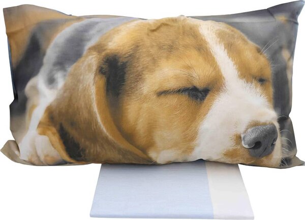 Gabel Completo Letto Singolo in Cotone lenzuolo sopra + federa colore Azzurro - Baby Mimi