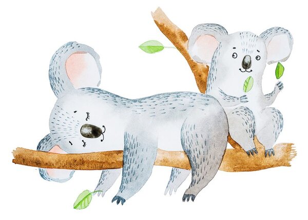 Carta da parati – Koala carini