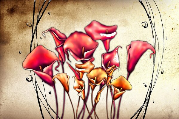 Carta da parati – Fiori rossi di calla