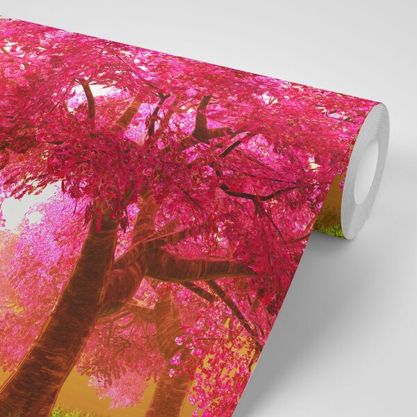 Carta da parati – Alberi di ciliegio in fiore
