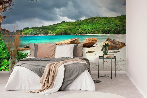Carta da parati – Seychelles tropicali
