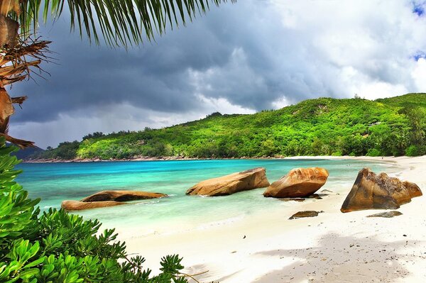 Carta da parati – Seychelles tropicali