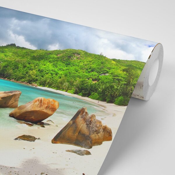 Carta da parati – Seychelles tropicali