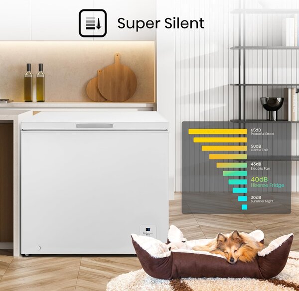 Hisense Congelatore a Pozzetto Orizzontale Capacita 191 Litri Classe energetica E colore Bianco - FC247D4AWLE