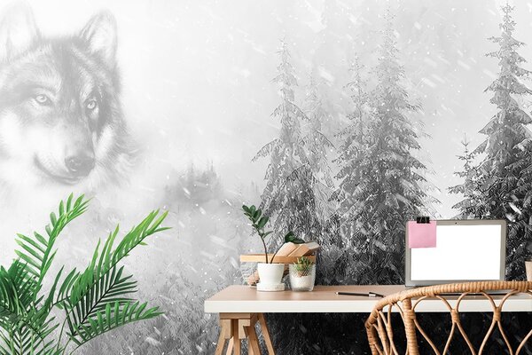 Carta da parati – Lupo in bianco e nero in un paesaggio innevato