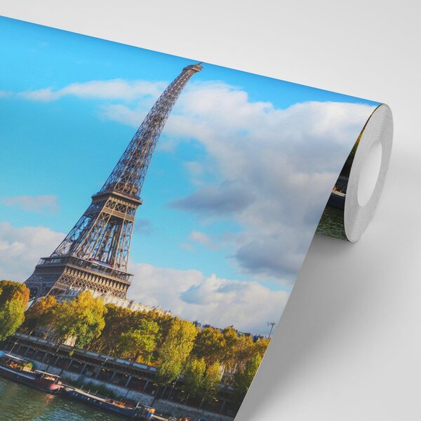 Carta da parati – Splendida panorama di Parigi
