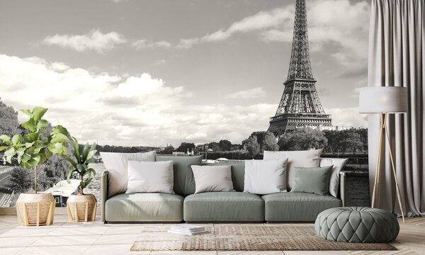 Carta da parati – Splendida panorama in bianco e nero di Parigi