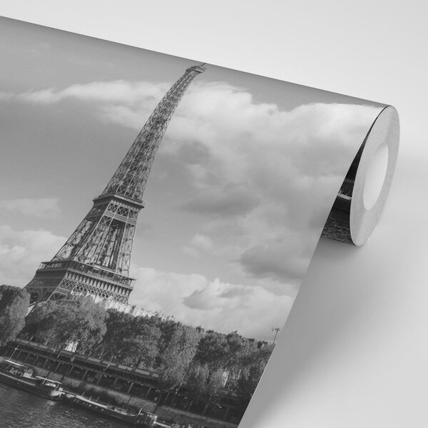 Carta da parati – Splendida panorama in bianco e nero di Parigi
