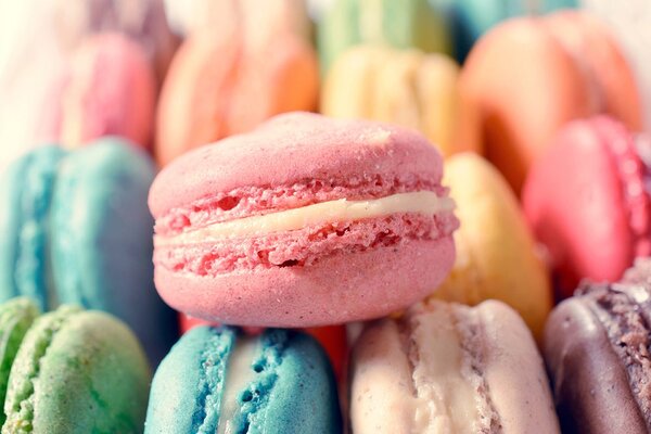 Carta da parati – Macarons colorati