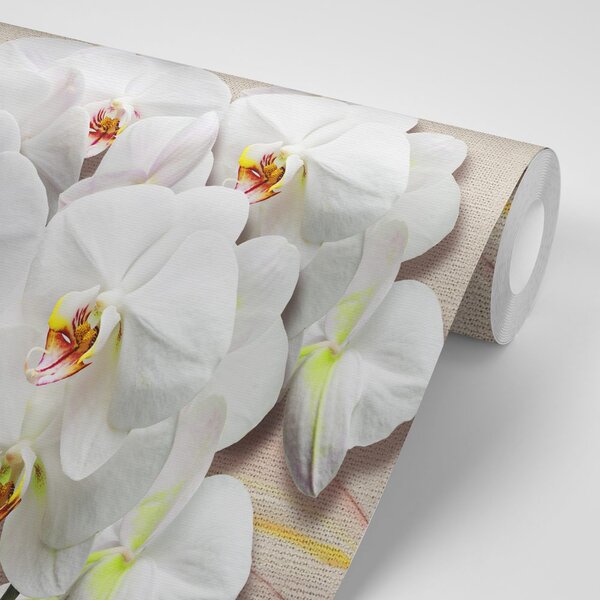 Carta da parati – Orchidea bianca su tela