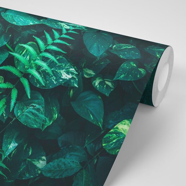 Carta da parati – Foglie tropicali fresche