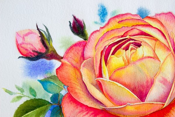 Carta da parati – Rose disegnate