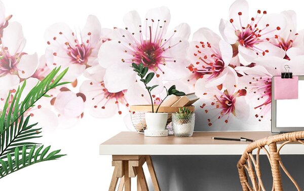 Carta da parati – Fiori di Ciliegio