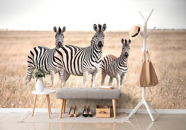 Carta da parati – Tre zebre nella savana