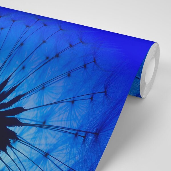 Carta da parati – Soffione blu
