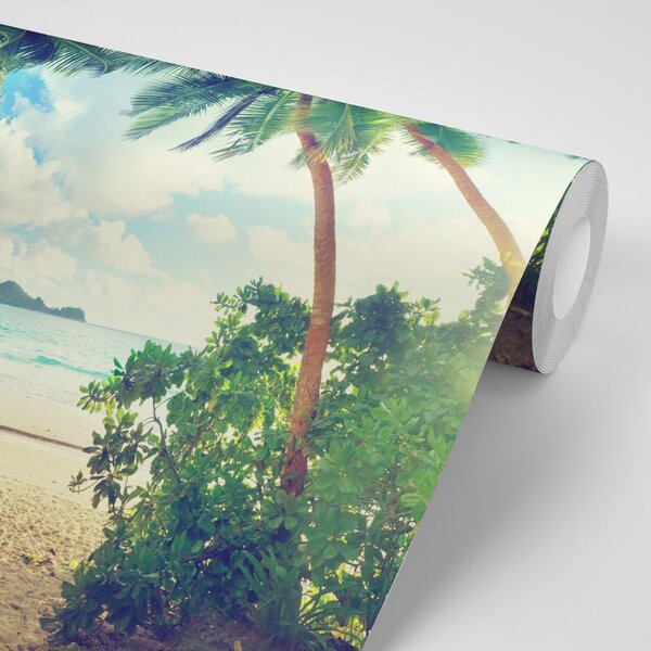 Carta da parati – Tramonto sull'isola di Seychelles