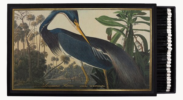 Scatola di design Louisiana Heron