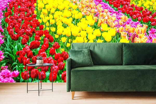 Carta da parati – Giardino pieno di tulipani
