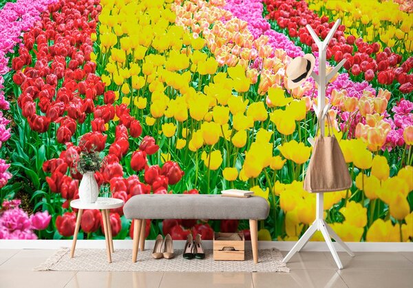 Carta da parati – Giardino pieno di tulipani