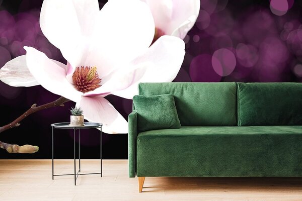 Carta da parati – Fiore di magnolia su sfondo astratto