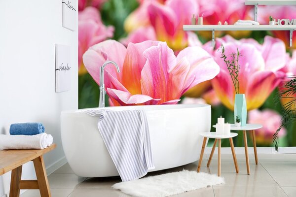 Carta da parati – Prato di tulipani rosa