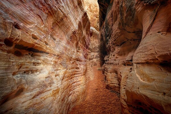 Carta da parati – Sentiero nel Grand Canyon