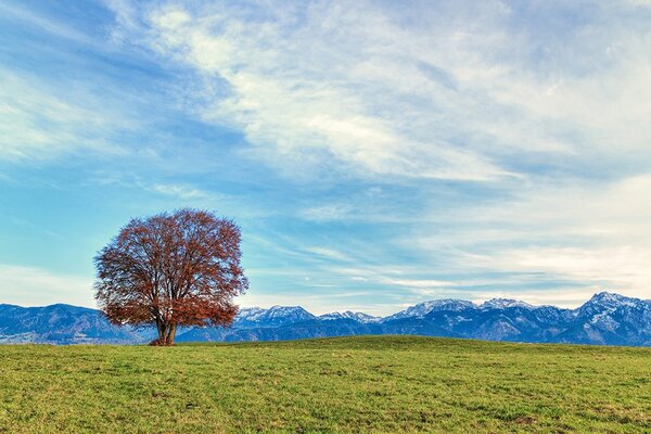 Carta da parati – Panorama montano