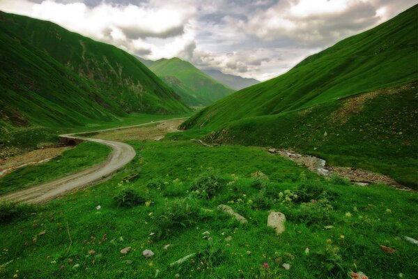 Carta da parati – Paesaggio verde
