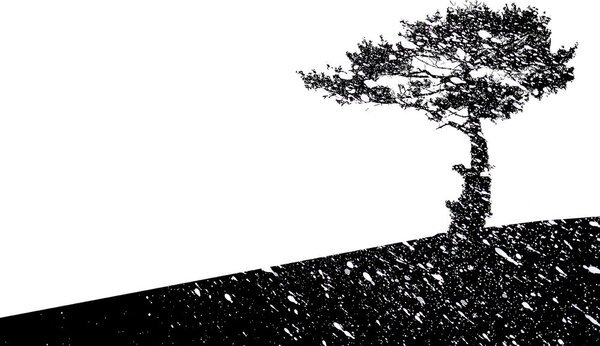 Carta da parati – Silhouette dell'albero