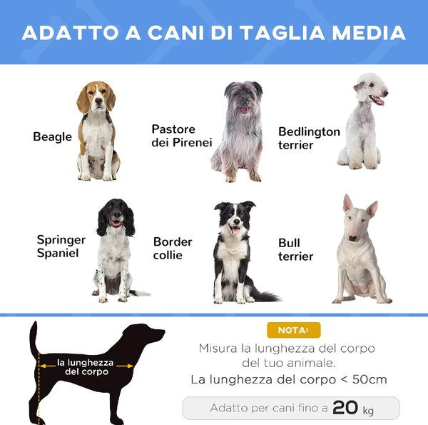 AllMyPets Cuccia Lettino per Cani Rialzato Pieghevole per Interno ed Esterno in Metallo e Tessuto Oxford 76x61x18 cm colore Blu - U476065