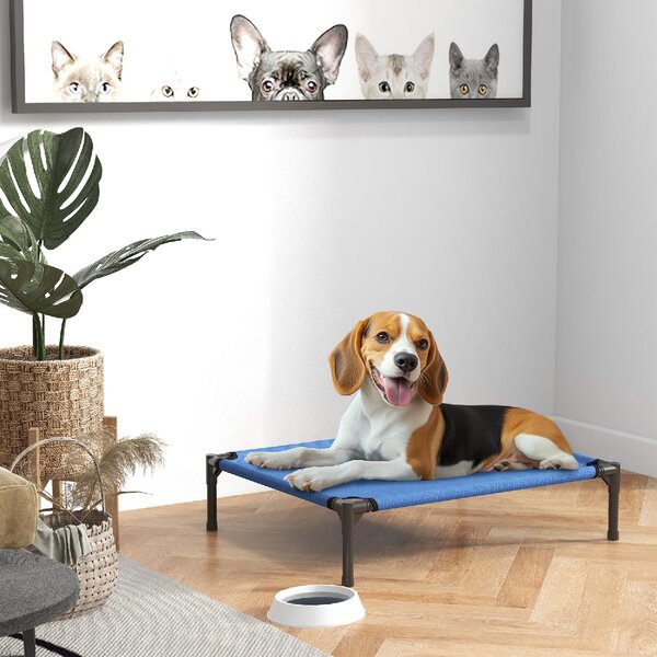 AllMyPets Cuccia Lettino per Cani Rialzato Pieghevole per Interno ed Esterno in Metallo e Tessuto Oxford 76x61x18 cm colore Blu - U476065