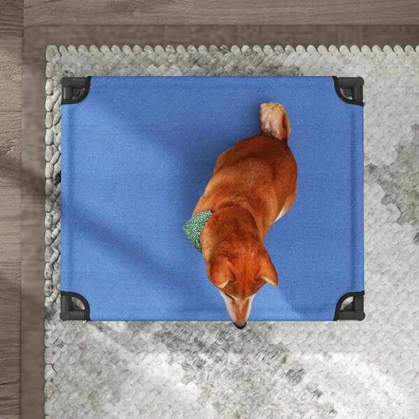 AllMyPets Cuccia Lettino per Cani Rialzato Pieghevole per Interno ed Esterno in Metallo e Tessuto Oxford 76x61x18 cm colore Blu - U476065