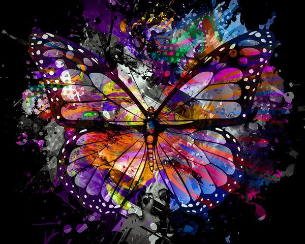 Carta da parati – Farfalla straordinaria