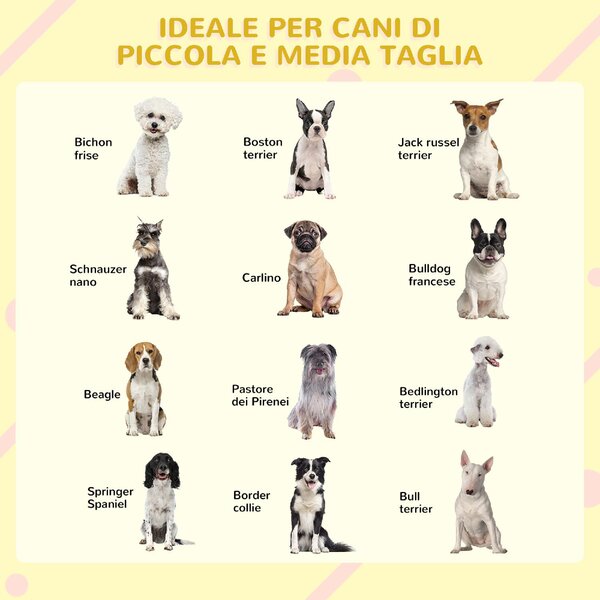 AllMyPets Cuccia per Cani da Esterno Taglia Piccola e Media cm 109x79x72 cm in Legno con Design Rialzato Tenda Protettiva e 2 Finestre