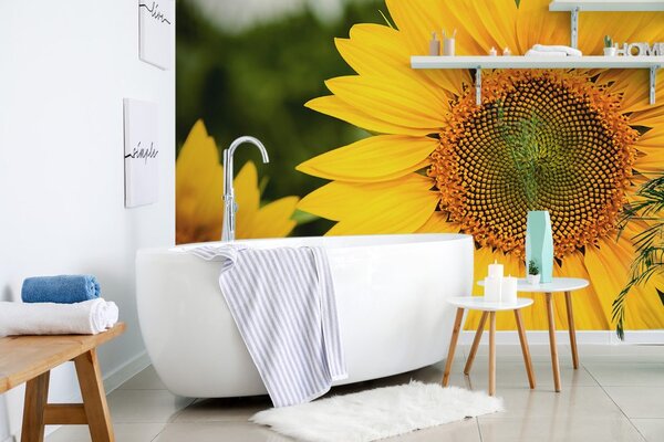 Carta da parati – Girasole giallo