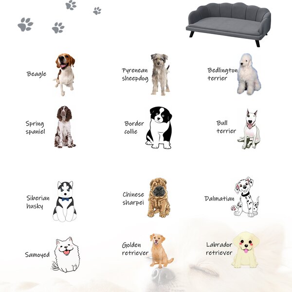 AllMyPets Cuccia per Cani da Interno Taglia Medio Grande Divanetto con Cuscino Imbottito e Rivestimento Sfoderabile colore Grigio - 153CG