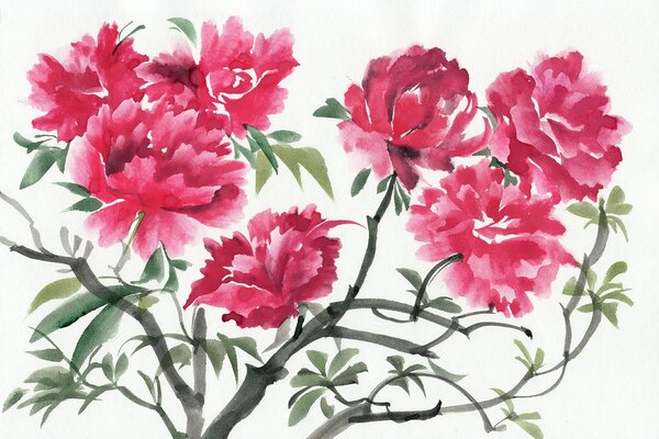 Carta da parati – Fiori di azalea