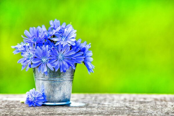 Carta da parati – Fiori nel secchio