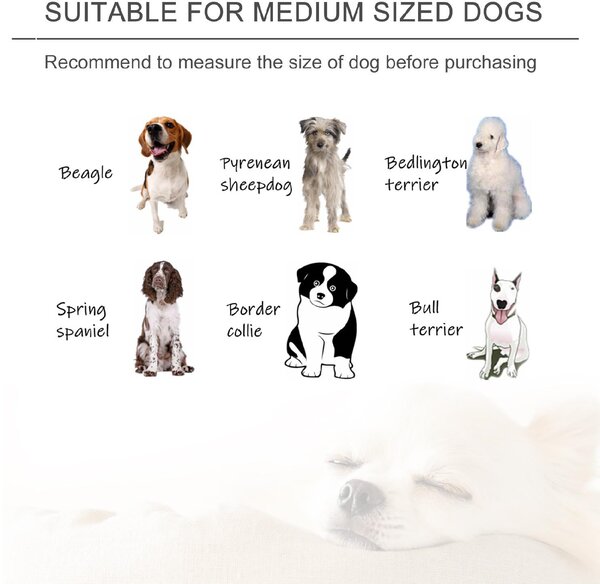 AllMyPets Cuccia per Cani o Gatti da Interno Taglia Media Divano o e in Velluto colore Blu - 167BUD04