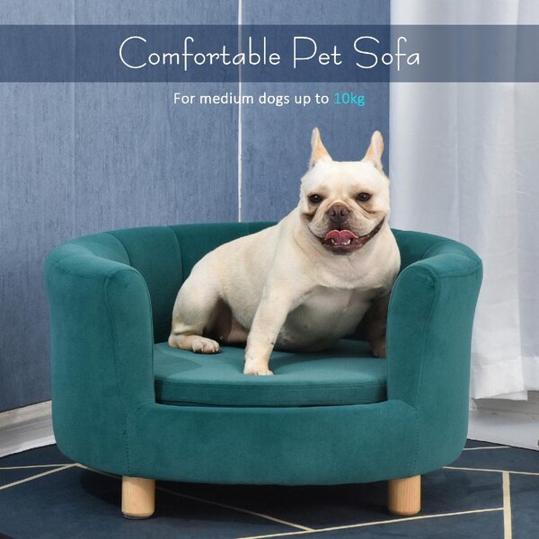 AllMyPets Cuccia per Cani o Gatti da Interno Taglia Medio Piccola Divanetto Imbottito con Schienale e Cuscino Rimovibile da 65x64x37cm Verde - 148G