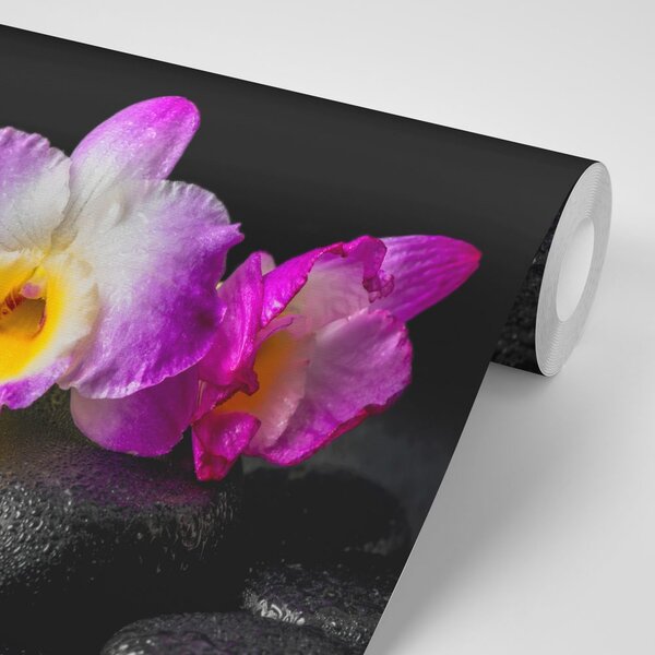 Carta da parati – Orchidea su pietre Zen