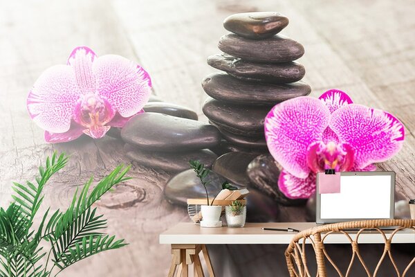 Carta da parati – Orchidea e pietre Zen su legno
