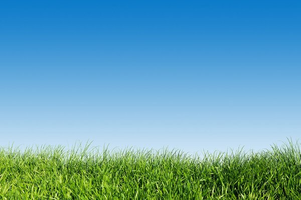 Carta da parati – Cielo sopra il prato