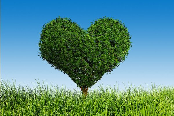 Carta da parati – Albero a forma di cuore